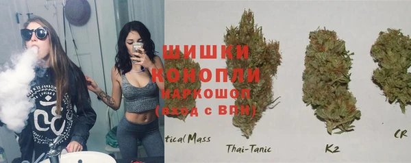 хмурый Арсеньев