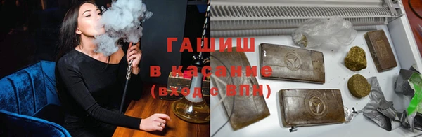 хмурый Арсеньев
