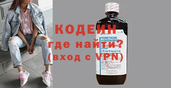 хмурый Арсеньев
