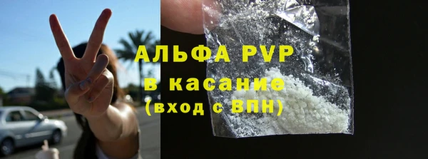 хмурый Арсеньев