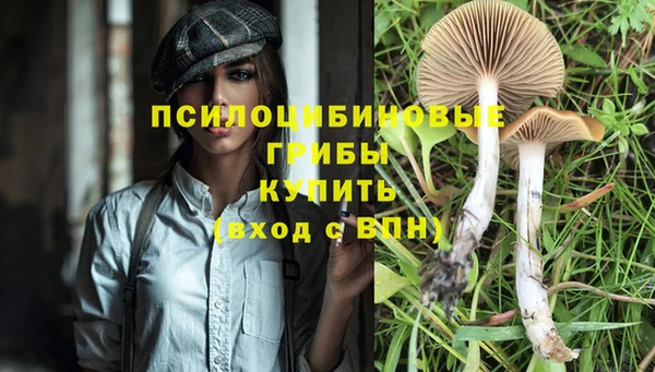 мет Армянск